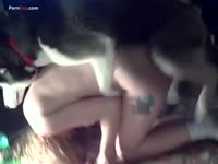 Blonde tatted babe got fucked from behind by husky dog